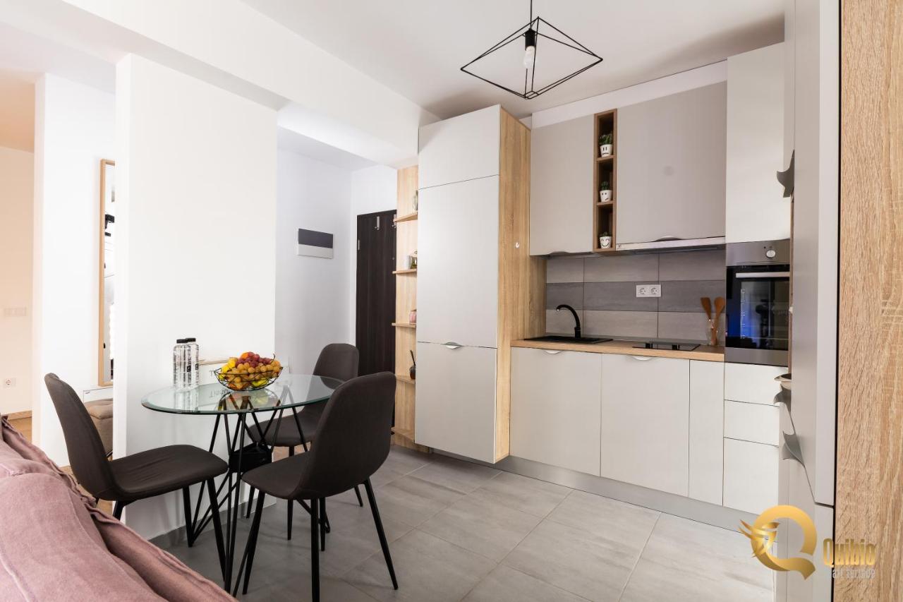 Quibio Apart Terrace Брашов Екстериор снимка