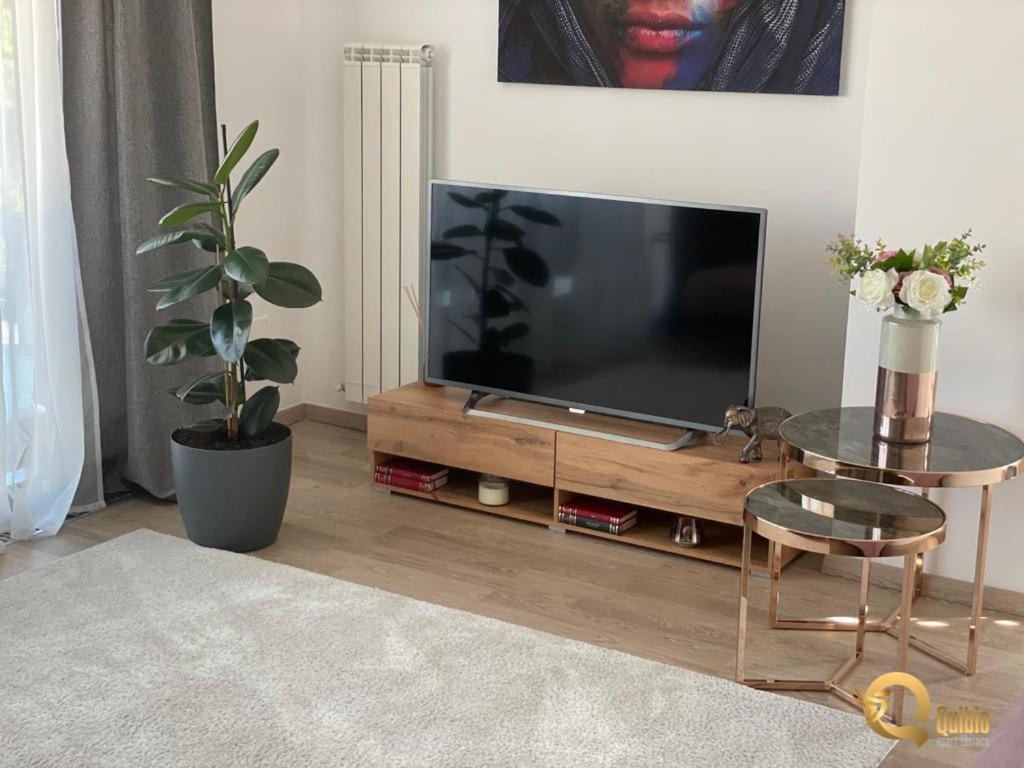 Quibio Apart Terrace Брашов Екстериор снимка